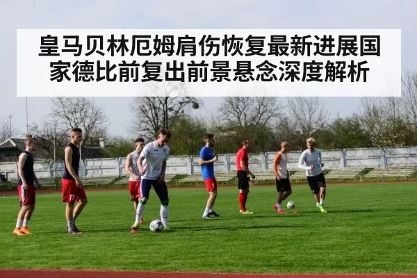 皇马贝林厄姆肩伤恢复最新进展国家德比前复出前景悬念深度解析